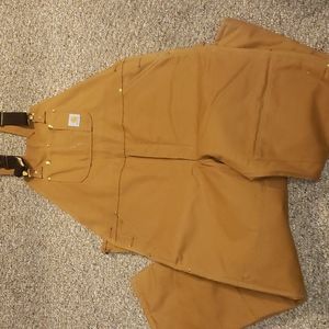 Carhartt mens Duck Insulated bib overall, insulated (red lining)